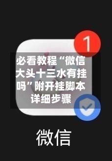 必看教程“微信大头十三水有挂吗”附开挂脚本详细步骤