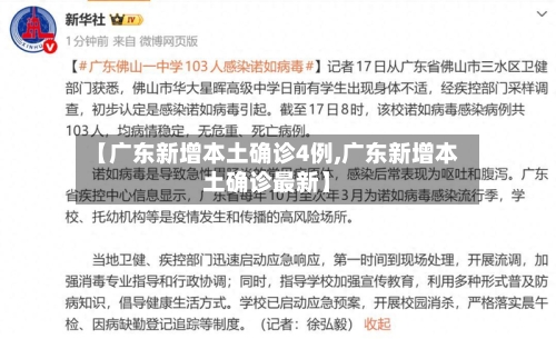 【广东新增本土确诊4例,广东新增本土确诊最新】-第2张图片