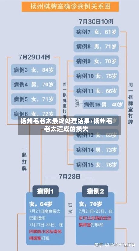 扬州毛老太最终处理结果/扬州毛老太造成的损失