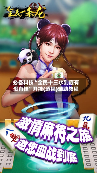 必备科技“全民十三水到底有没有挂”开挂(透视)辅助教程-第3张图片