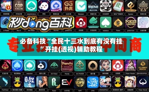 必备科技“全民十三水到底有没有挂”开挂(透视)辅助教程-第2张图片