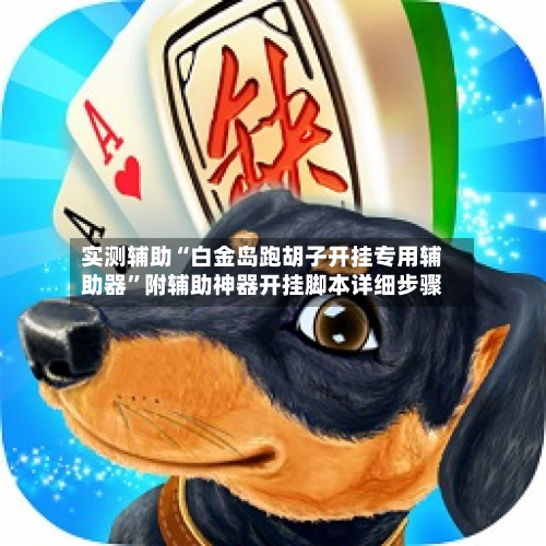 实测辅助“白金岛跑胡子开挂专用辅助器”附辅助神器开挂脚本详细步骤