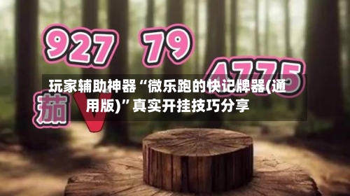 玩家辅助神器“微乐跑的快记牌器(通用版)”真实开挂技巧分享-第3张图片