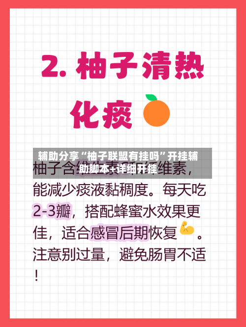 辅助分享“柚子联盟有挂吗”开挂辅助脚本+详细开挂-第2张图片