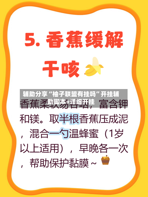 辅助分享“柚子联盟有挂吗”开挂辅助脚本+详细开挂-第3张图片