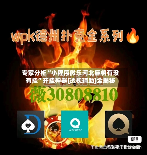 专家分析“小程序微乐河北麻将有没有挂”开挂神器{透视辅助}全揭秘-第3张图片