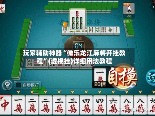 玩家辅助神器“微乐龙江麻将开挂教程”(透视挂)详细用法教程-第2张图片
