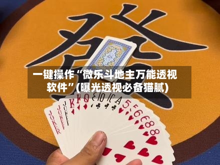 一键操作“微乐斗地主万能透视软件	”(曝光透视必备猫腻)-第2张图片