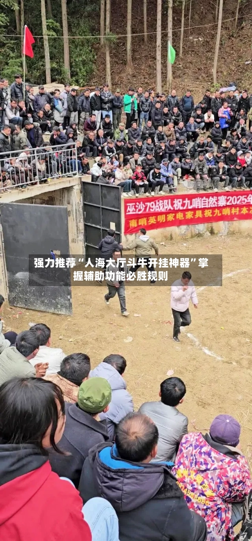 强力推荐“人海大厅斗牛开挂神器	”掌握辅助功能必胜规则-第2张图片
