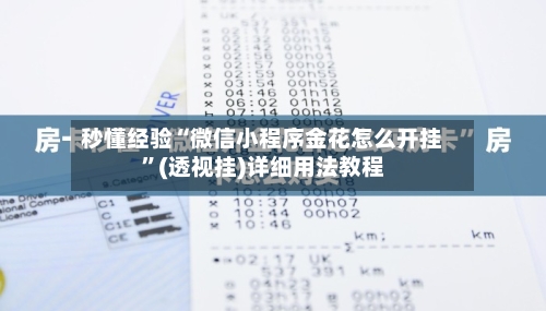秒懂经验“微信小程序金花怎么开挂”(透视挂)详细用法教程