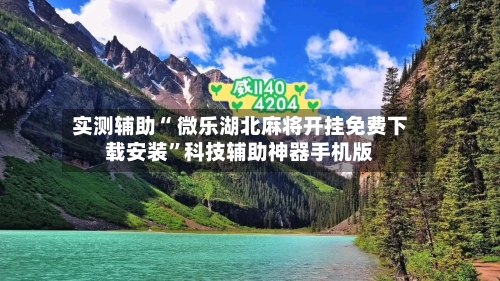 实测辅助“ 微乐湖北麻将开挂免费下载安装”科技辅助神器手机版-第2张图片