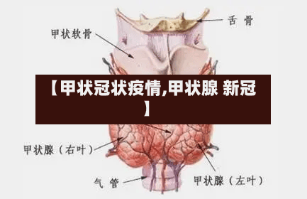 【甲状冠状疫情,甲状腺 新冠】-第3张图片