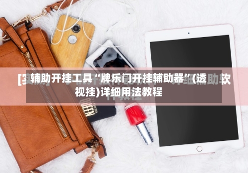 辅助开挂工具“牌乐门开挂辅助器”(透视挂)详细用法教程-第2张图片