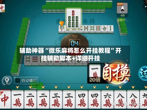 辅助神器“微乐麻将怎么开挂教程”开挂辅助脚本+详细开挂-第3张图片