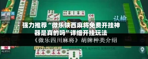 强力推荐“微乐陕西麻将免费开挂神器是真的吗”详细开挂玩法-第2张图片