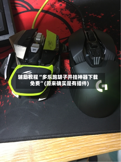 辅助教程“多乐跑胡子开挂神器下载免费”(原来确实是有插件)-第2张图片