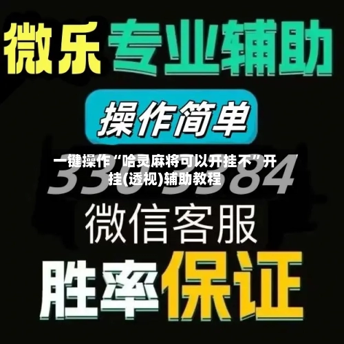 一键操作“哈灵麻将可以开挂不”开挂(透视)辅助教程-第2张图片