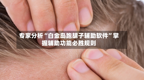 专家分析“白金岛跑胡子辅助软件”掌握辅助功能必胜规则-第2张图片