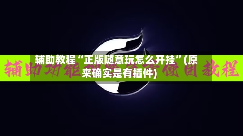 辅助教程“正版随意玩怎么开挂”(原来确实是有插件)-第2张图片