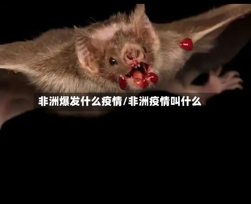 非洲爆发什么疫情/非洲疫情叫什么