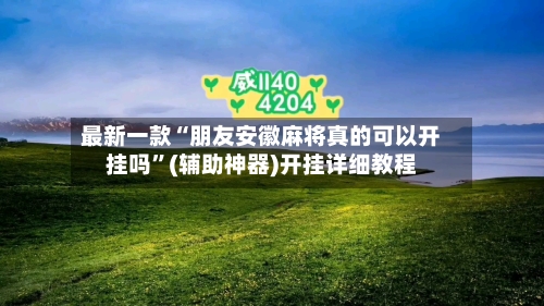 最新一款“朋友安徽麻将真的可以开挂吗”(辅助神器)开挂详细教程-第2张图片