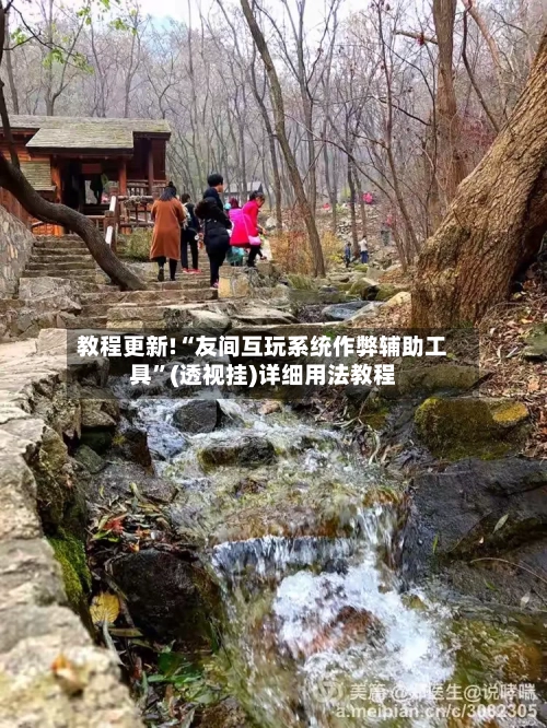教程更新!“友间互玩系统作弊辅助工具”(透视挂)详细用法教程