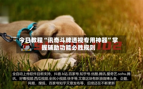 今日教程“讯奇斗牌透视专用神器”掌握辅助功能必胜规则-第2张图片