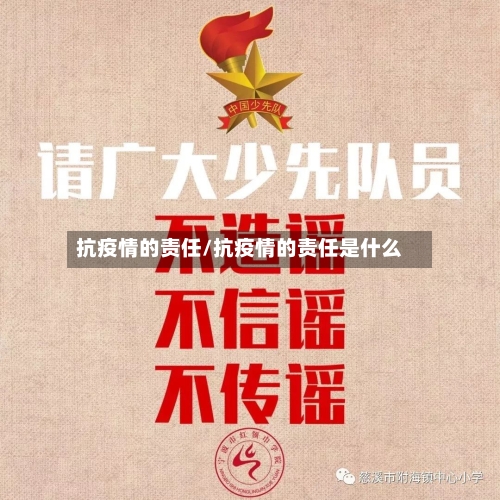 抗疫情的责任/抗疫情的责任是什么