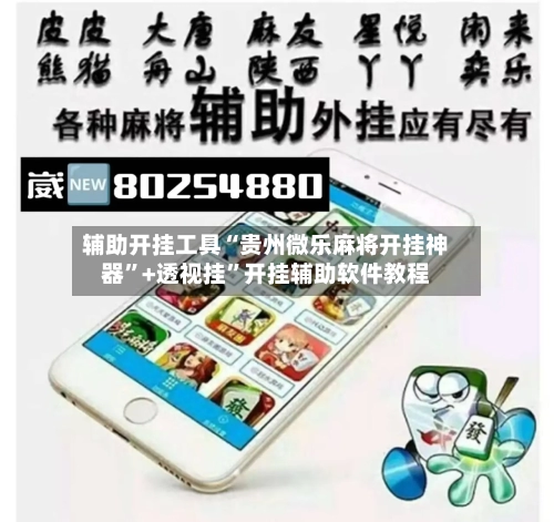 辅助开挂工具“贵州微乐麻将开挂神器	”+透视挂”开挂辅助软件教程-第3张图片