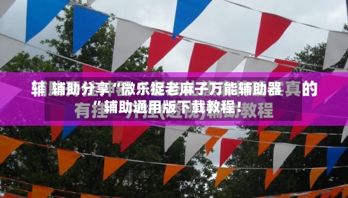 辅助分享“微乐捉老麻子万能辅助器”辅助通用版下载教程！