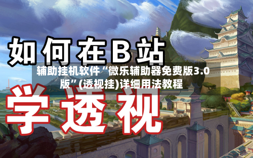 辅助挂机软件“微乐辅助器免费版3.0版”(透视挂)详细用法教程-第2张图片