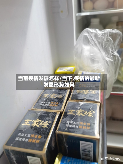 当前疫情发展怎样/当下,疫情的最新发展形势如何-第2张图片