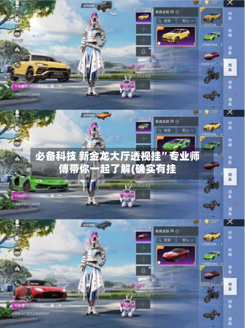 必备科技 新金龙大厅透视挂”专业师傅带你一起了解(确实有挂
